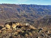 46 ...con bella vista panoramica sulla Valle Imagna